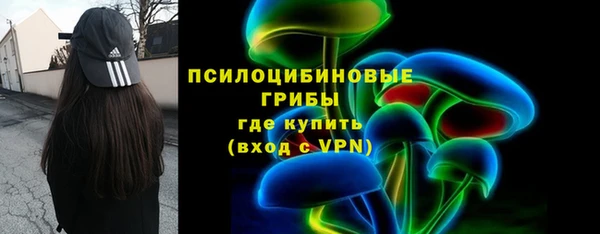 тгк Абаза