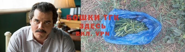 тгк Абаза