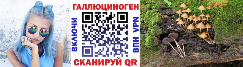 OMG онион  Тихорецк  Галлюциногенные грибы Cubensis 