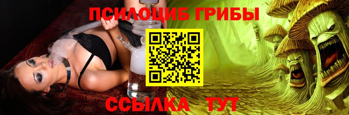 Псилоцибиновые грибы Psilocybine cubensis Тихорецк